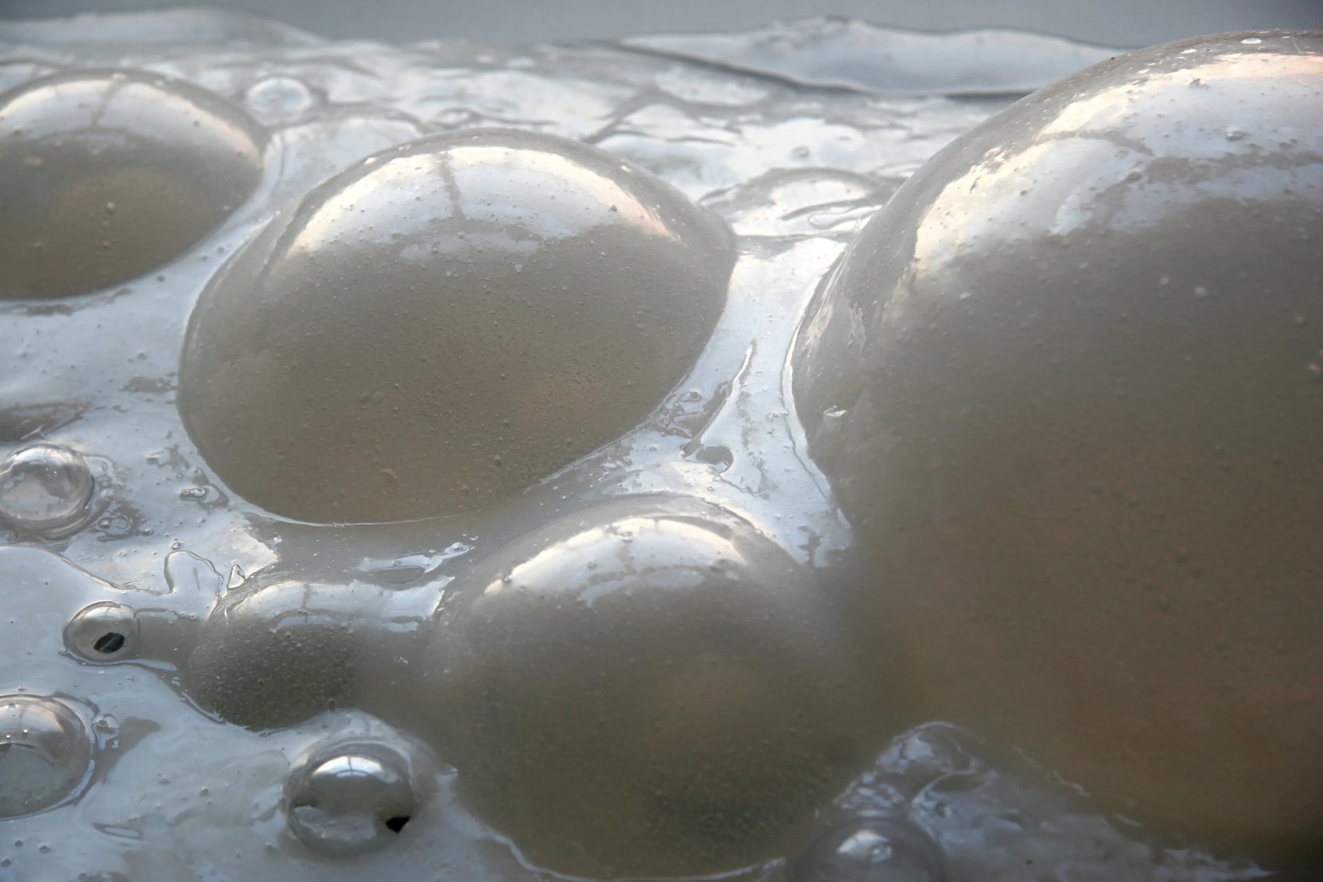 Grimanesa Amoros AURORA #2