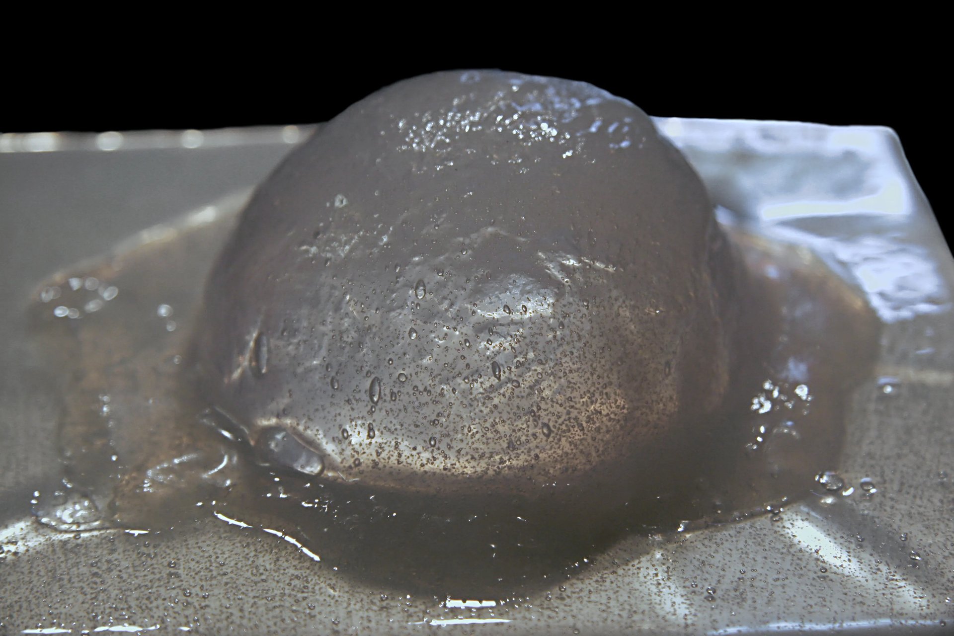 Grimanesa Amoros PRECIOSAS BURBUJAS