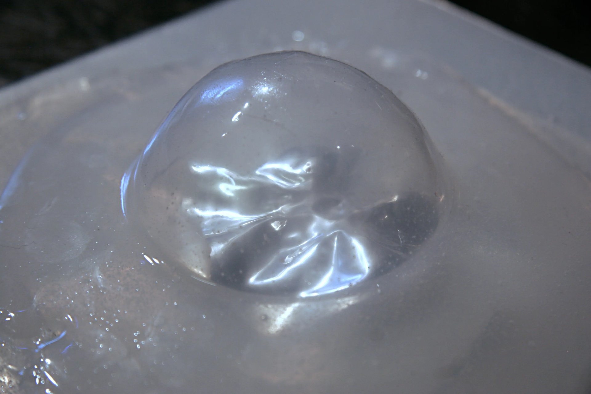 Grimanesa Amoros PRECIOSAS BURBUJAS