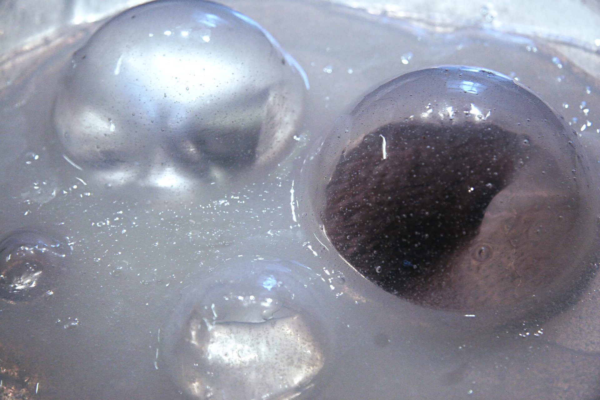 Grimanesa Amoros PRECIOSAS BURBUJAS