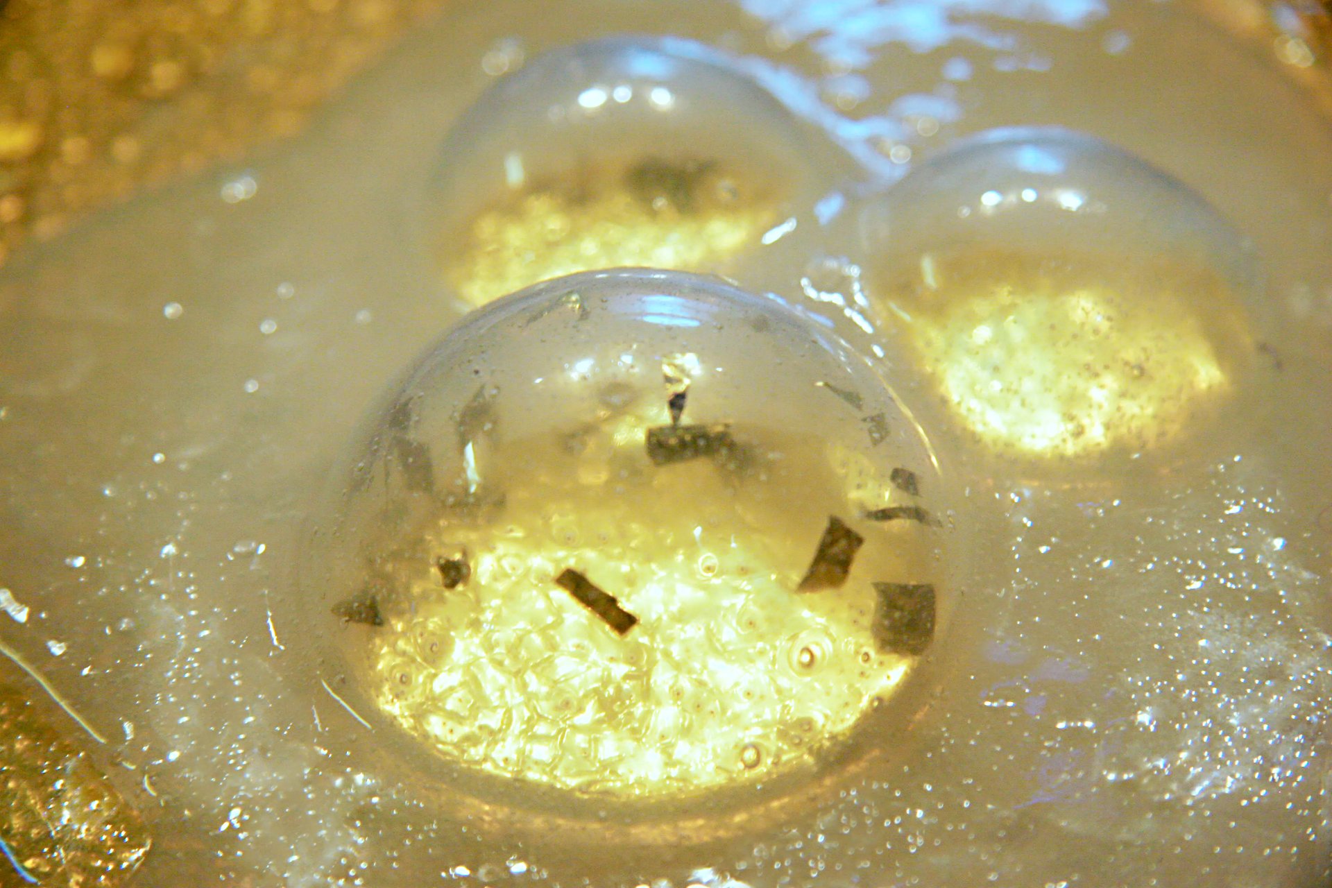 Grimanesa Amoros PRECIOSAS BURBUJAS