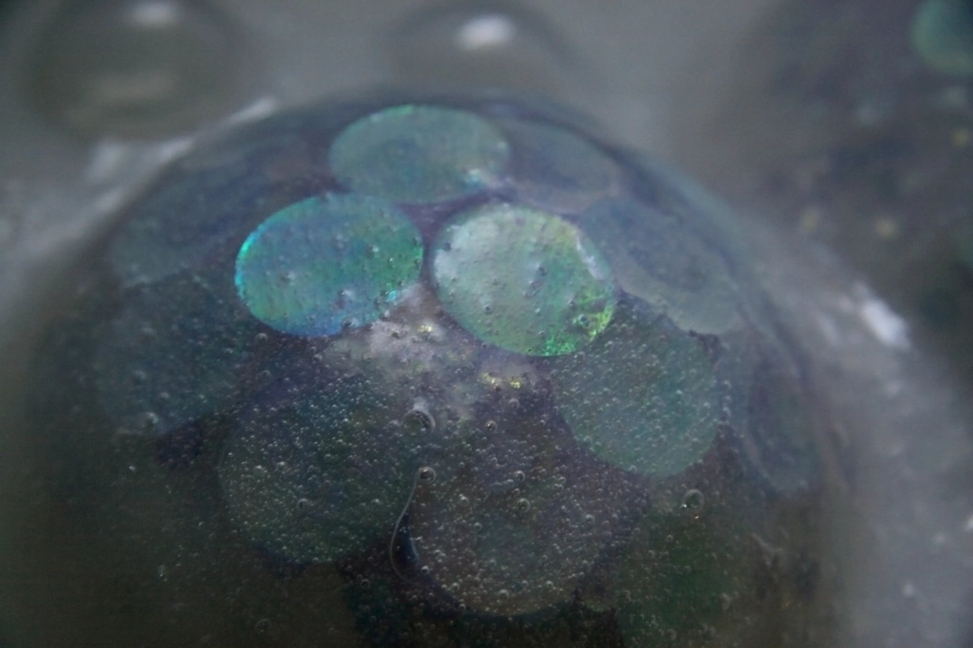 Grimanesa Amoros SPARKLING AURORA