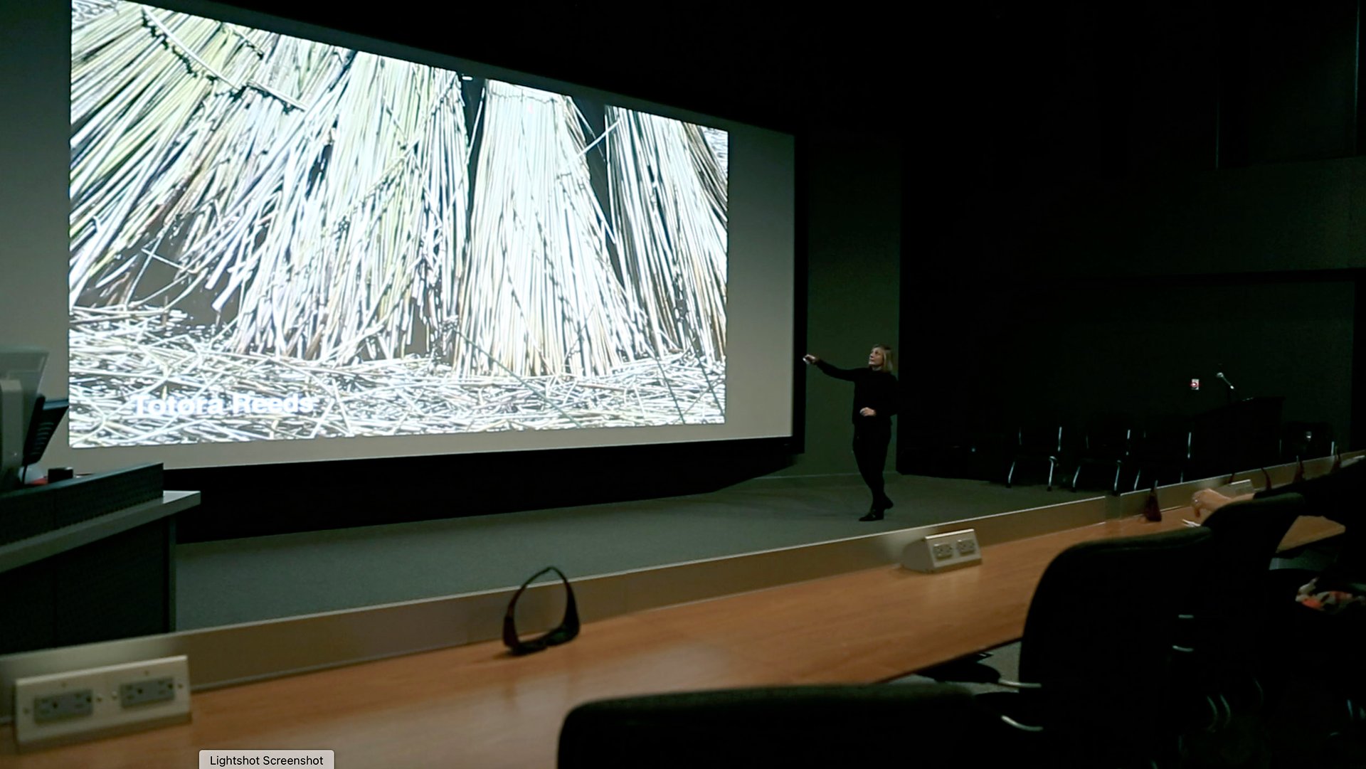 Grimanesa Amoros video thumbnail for LITE Center