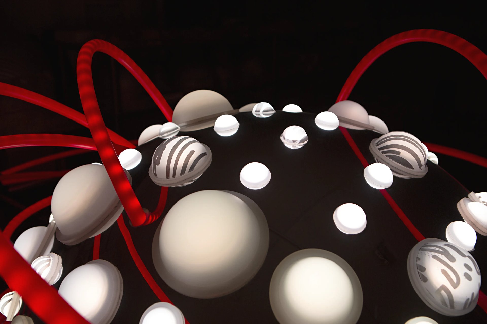 Grimanesa Amoros LOTUS