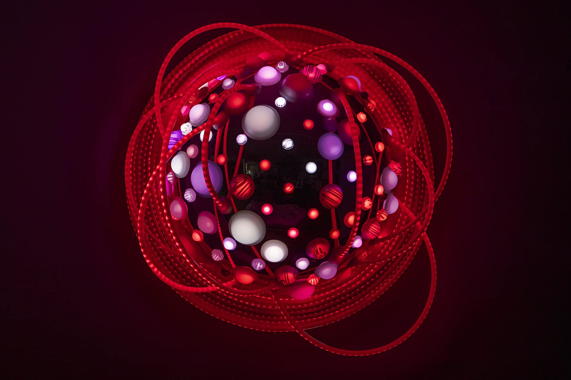 Grimanesa Amoros LOTUS #1