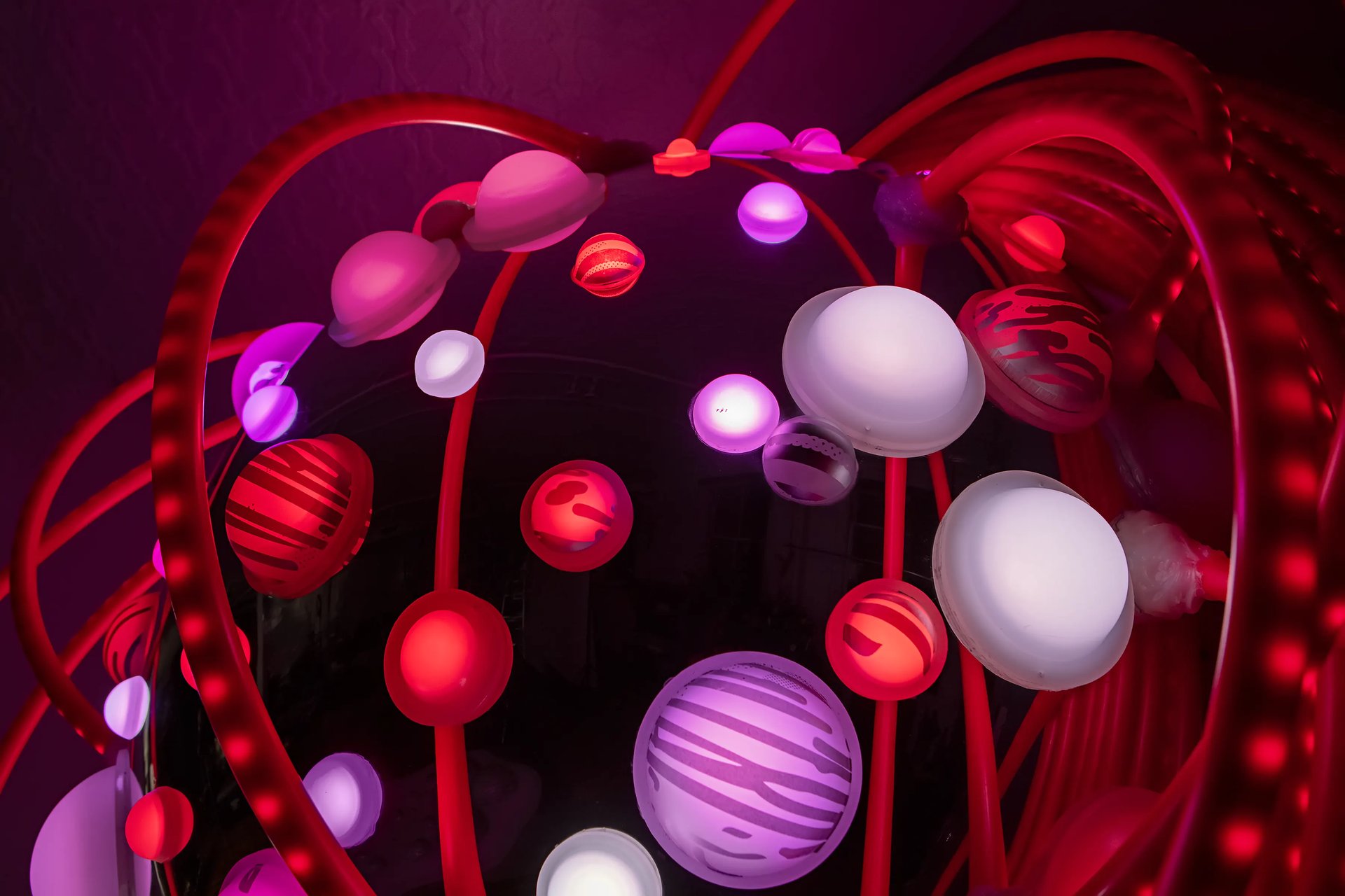 Grimanesa Amoros LOTUS #1