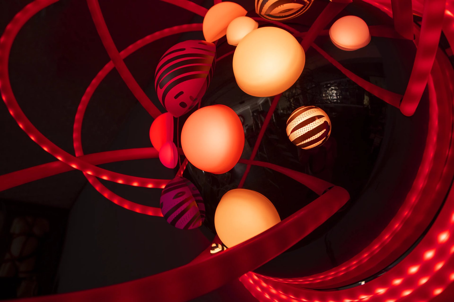 Grimanesa Amoros LOTUS #3