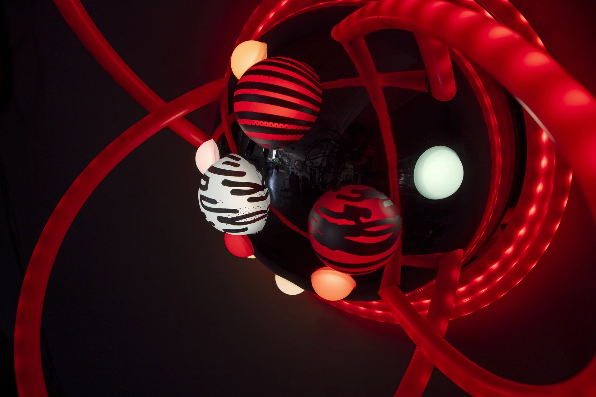 Grimanesa Amoros LOTUS #4