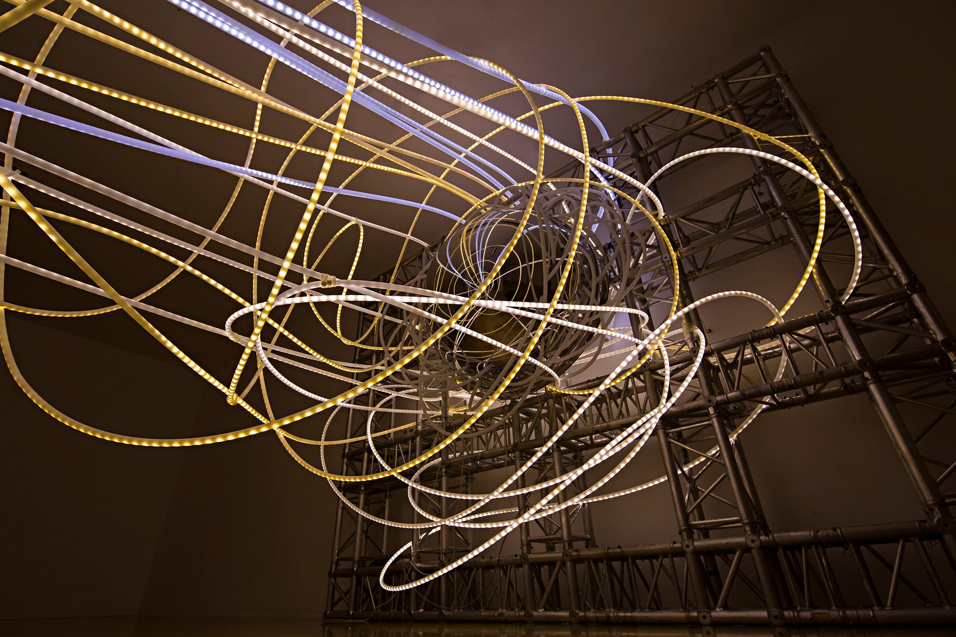 Grimanesa Amoros OCUPANTE