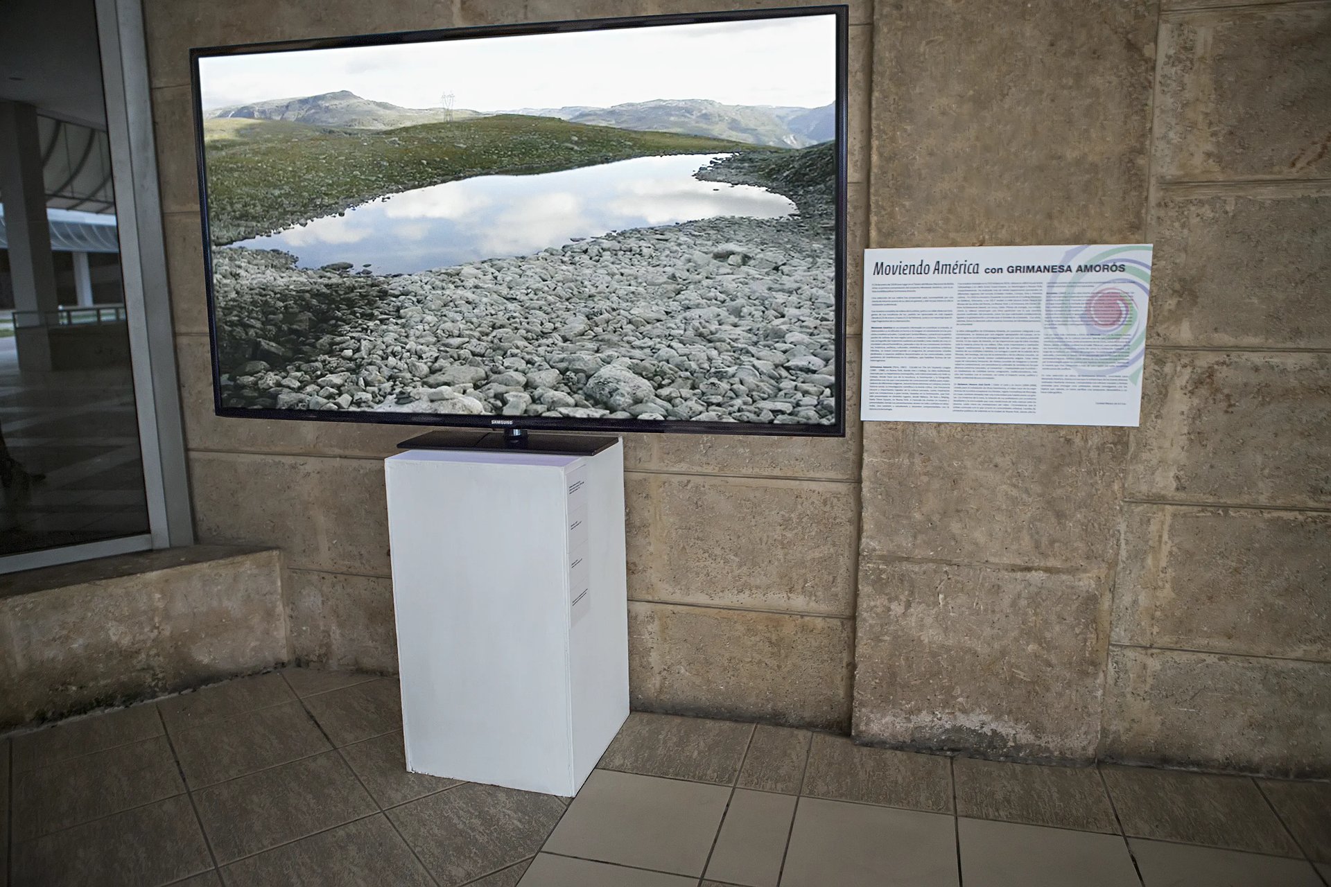 Grimanesa Amoros MOVIENDO AMERICA