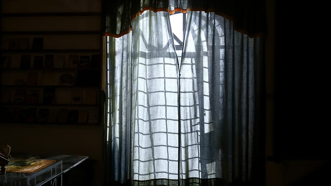 Grimanesa Amoros METHLUM