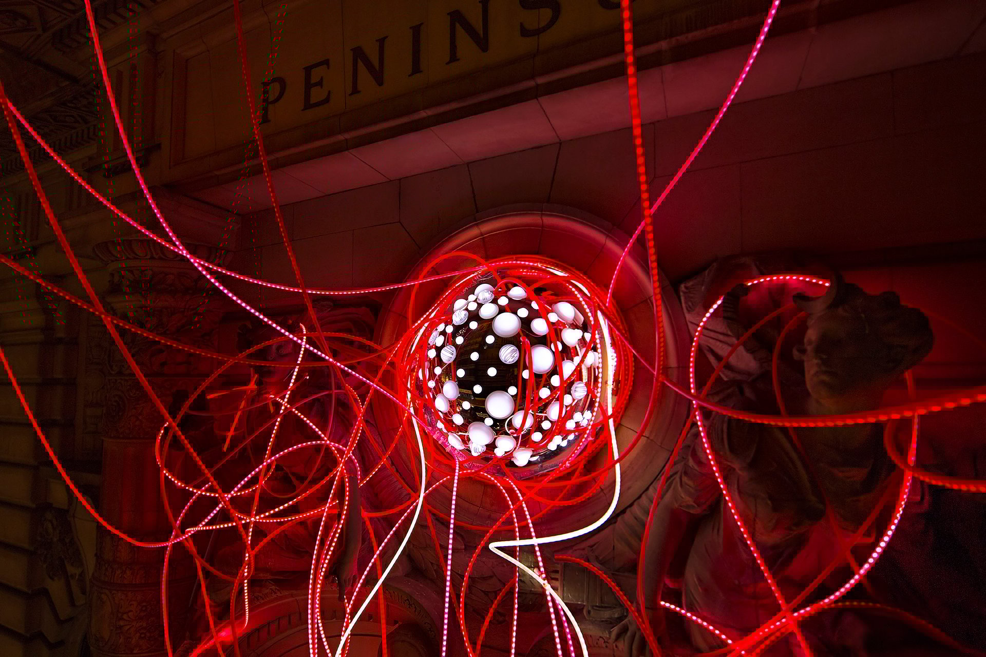 Grimanesa Amoros PINK LOTUS