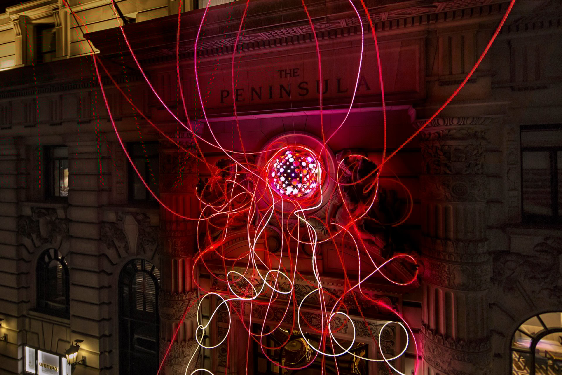 Grimanesa Amoros PINK LOTUS