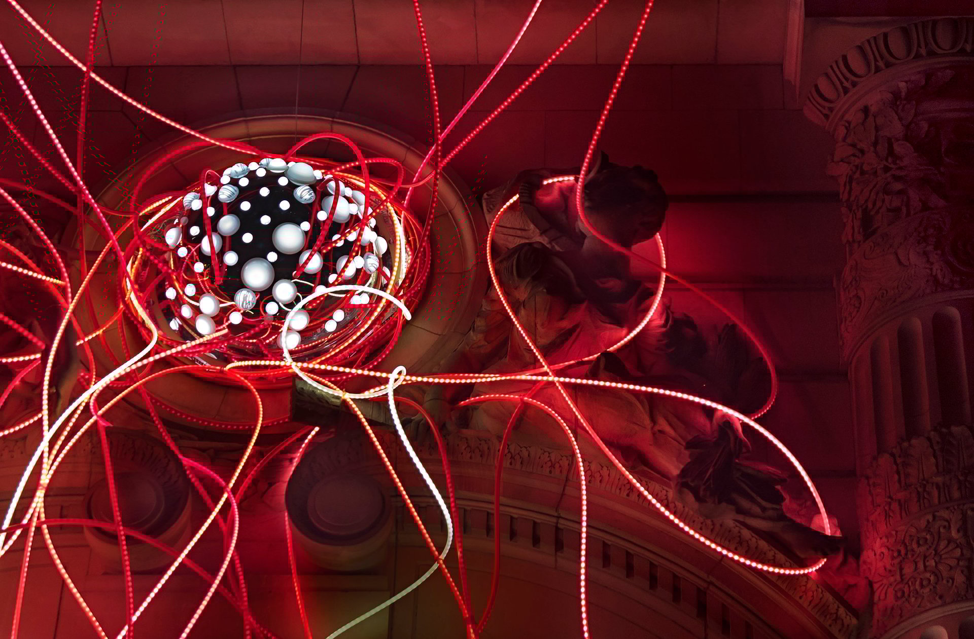 Grimanesa Amoros PINK LOTUS