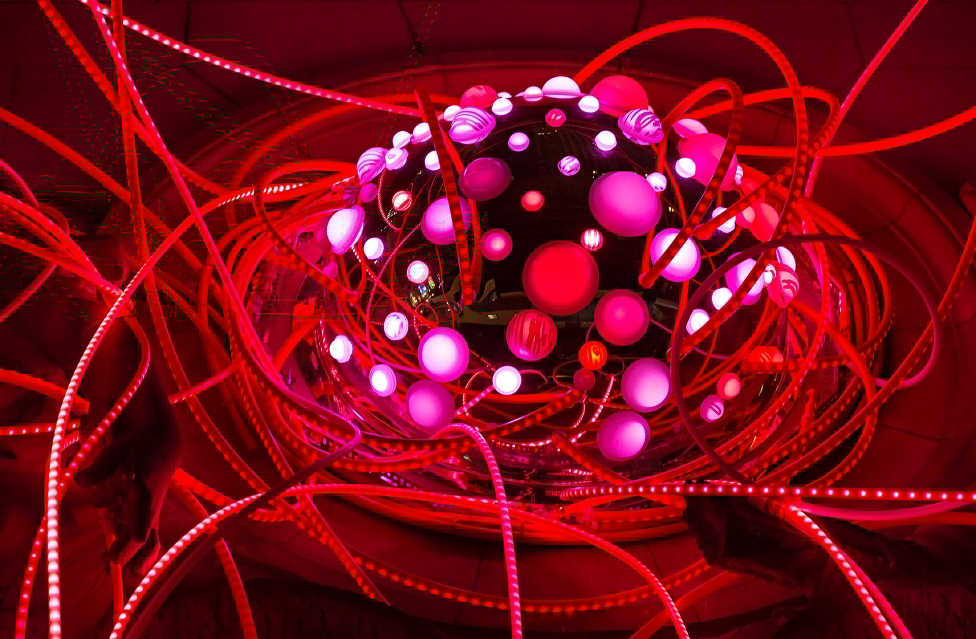 Grimanesa Amoros PINK LOTUS