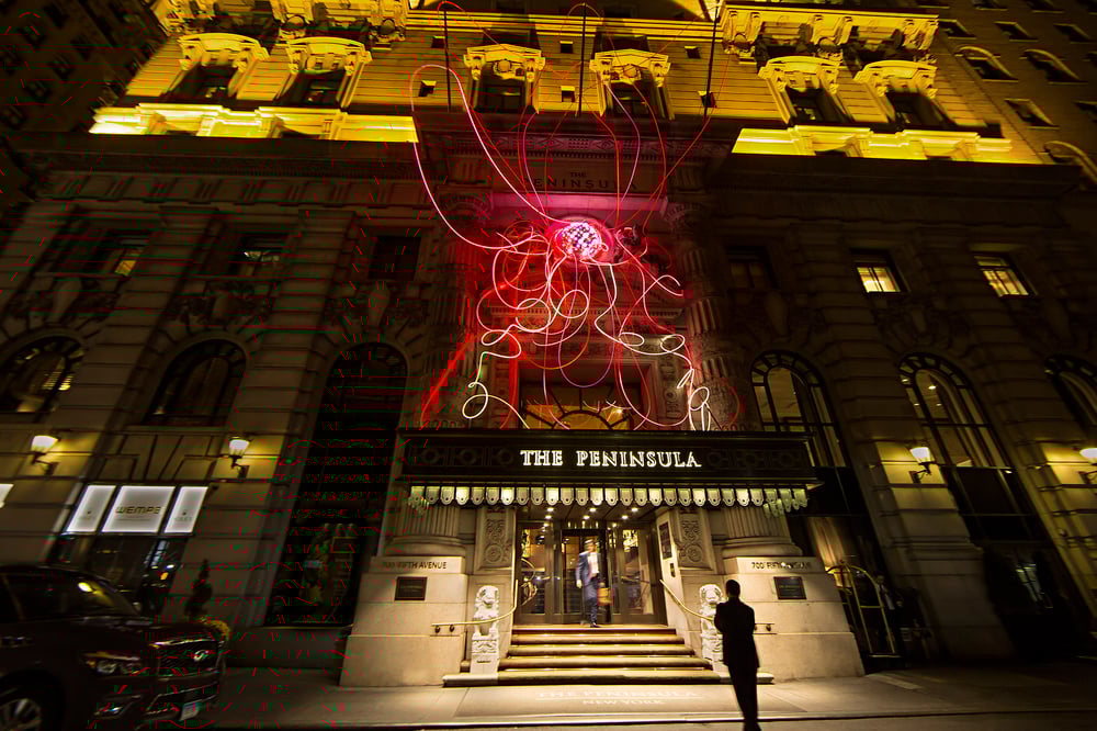 Grimanesa Amoros PINK LOTUS