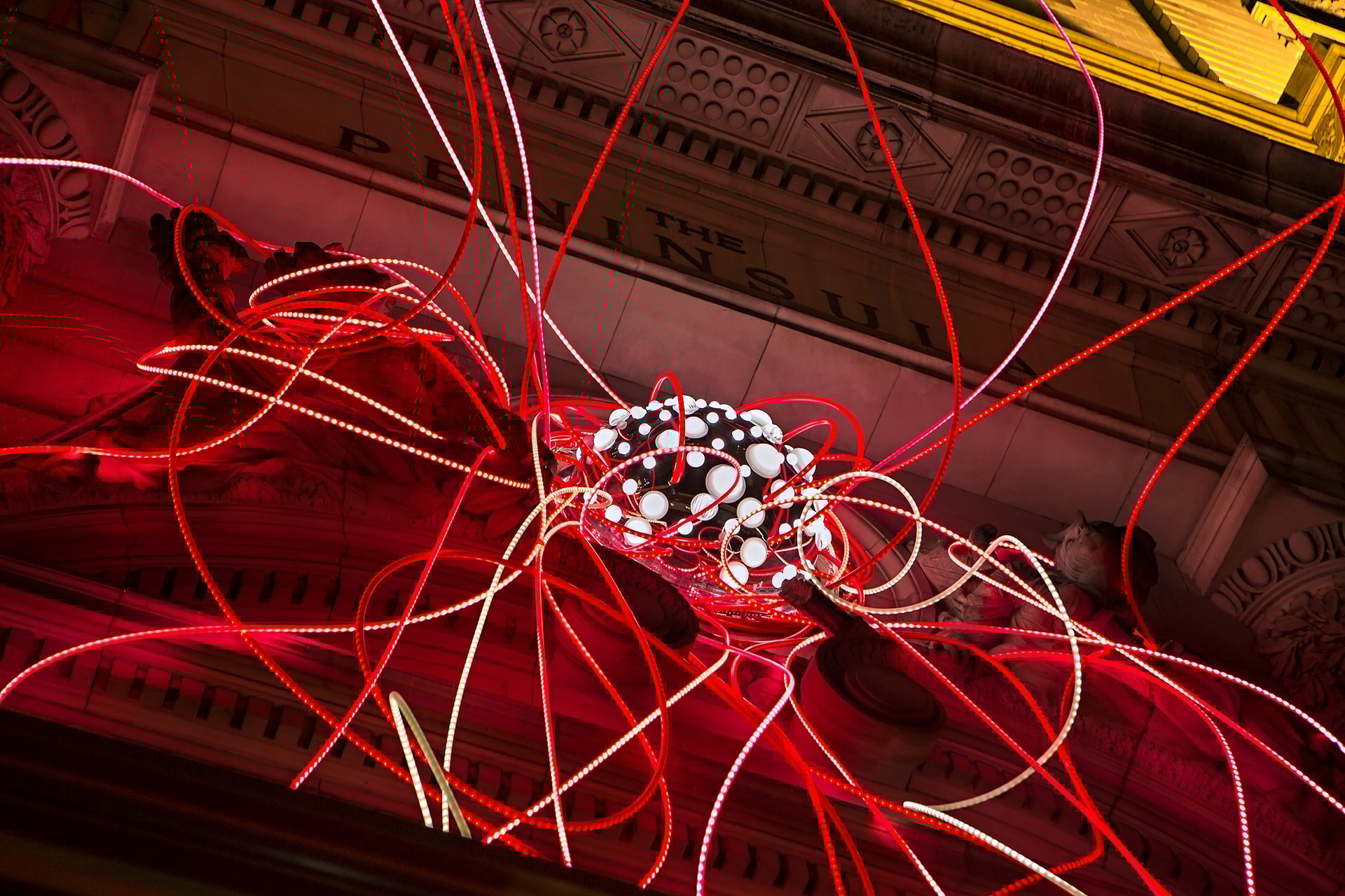 Grimanesa Amoros PINK LOTUS