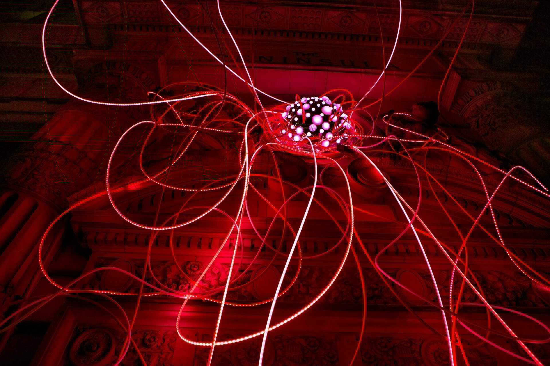 Grimanesa Amoros PINK LOTUS