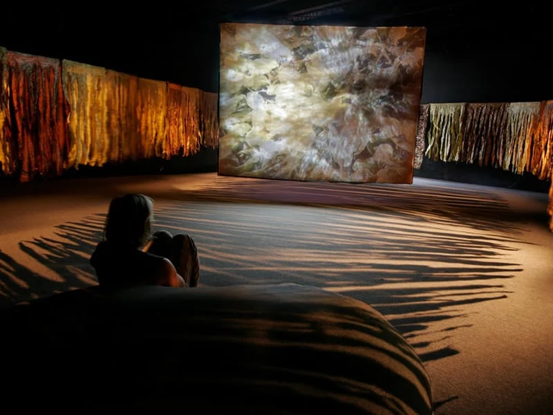 Grimanesa Amoros Rootless Algas exhibition