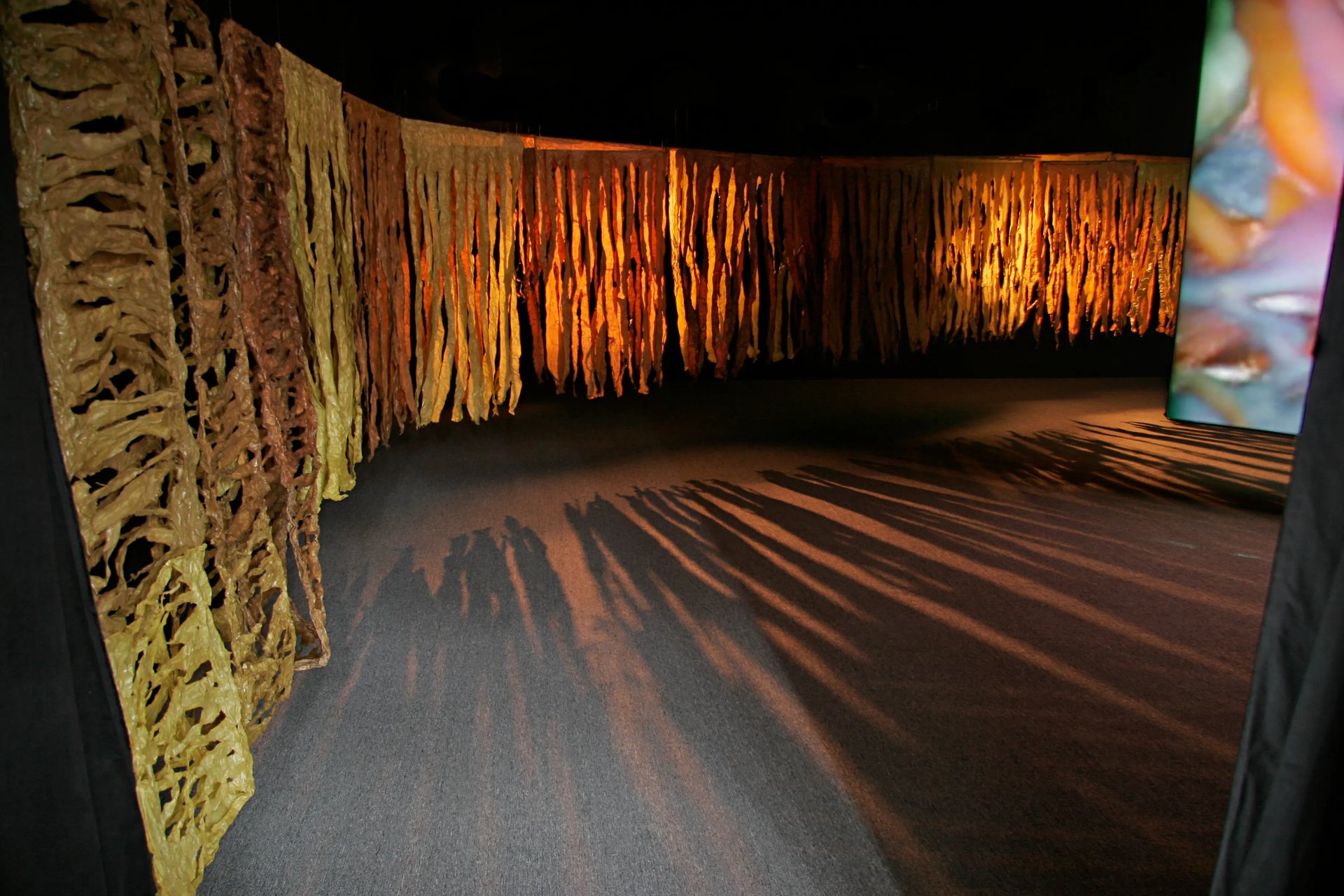 Grimanesa Amoros ROOTLESS ALGAS