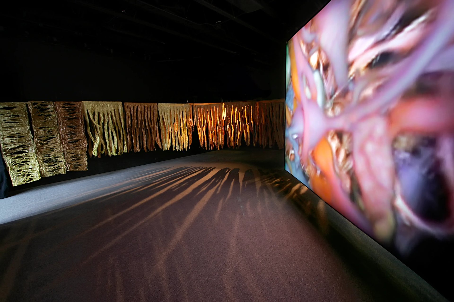 Grimanesa Amoros ROOTLESS ALGAS