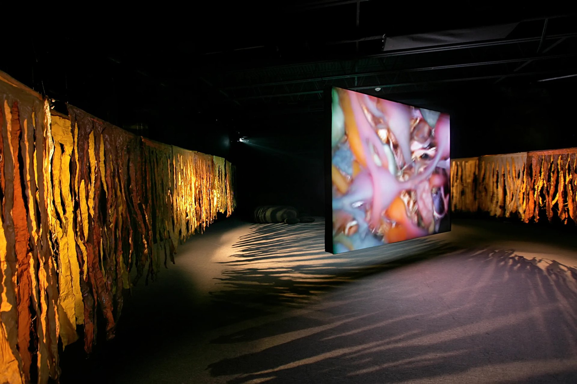 Grimanesa Amoros ROOTLESS ALGAS