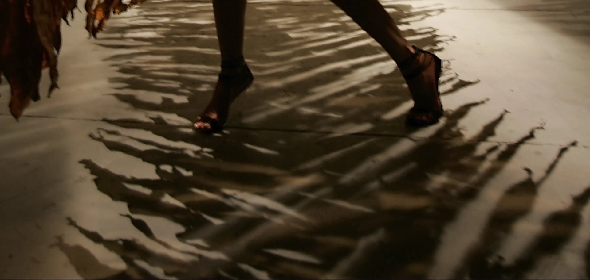 Grimanesa Amoros ROOTLESS ALGAS