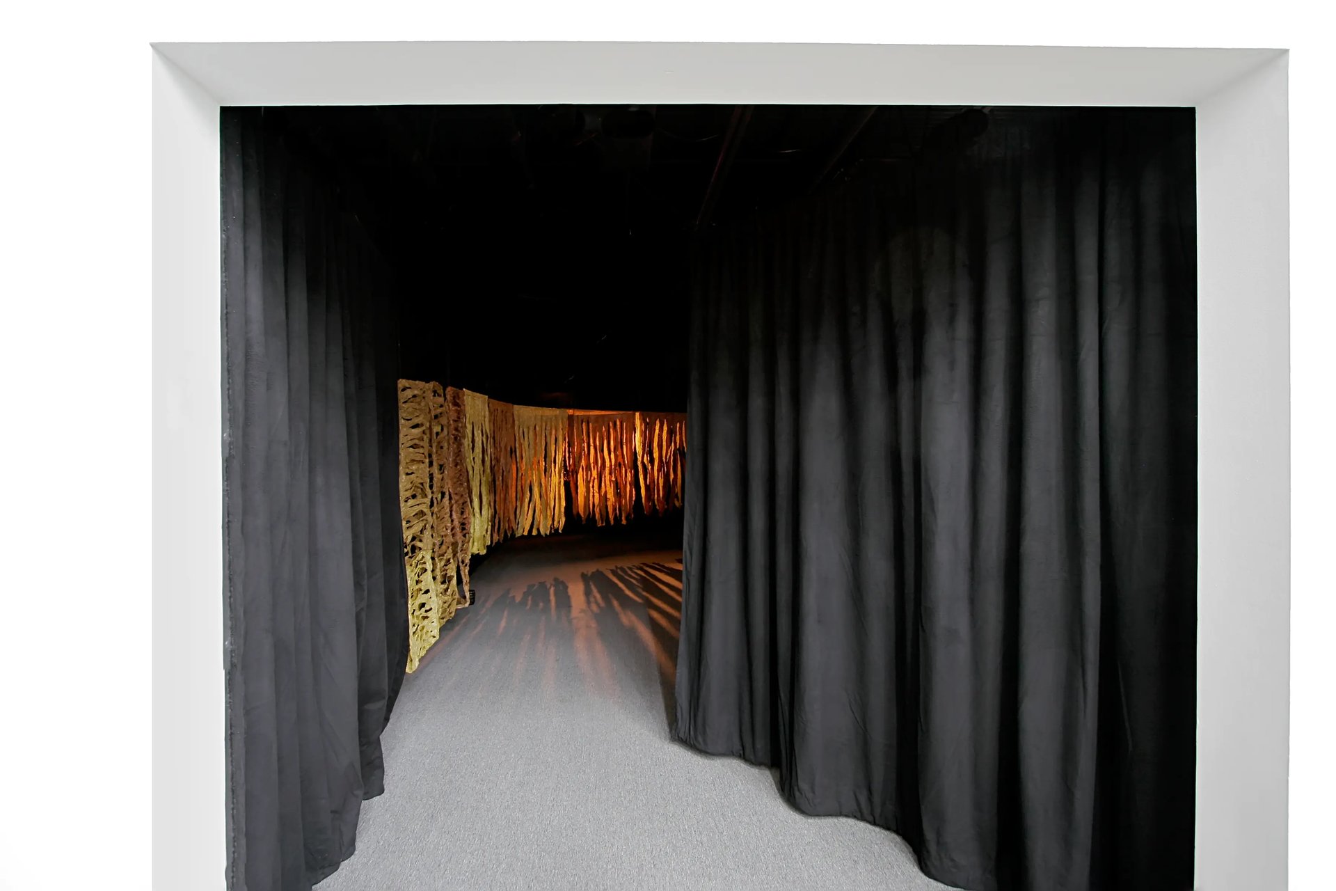 Grimanesa Amoros ROOTLESS ALGAS