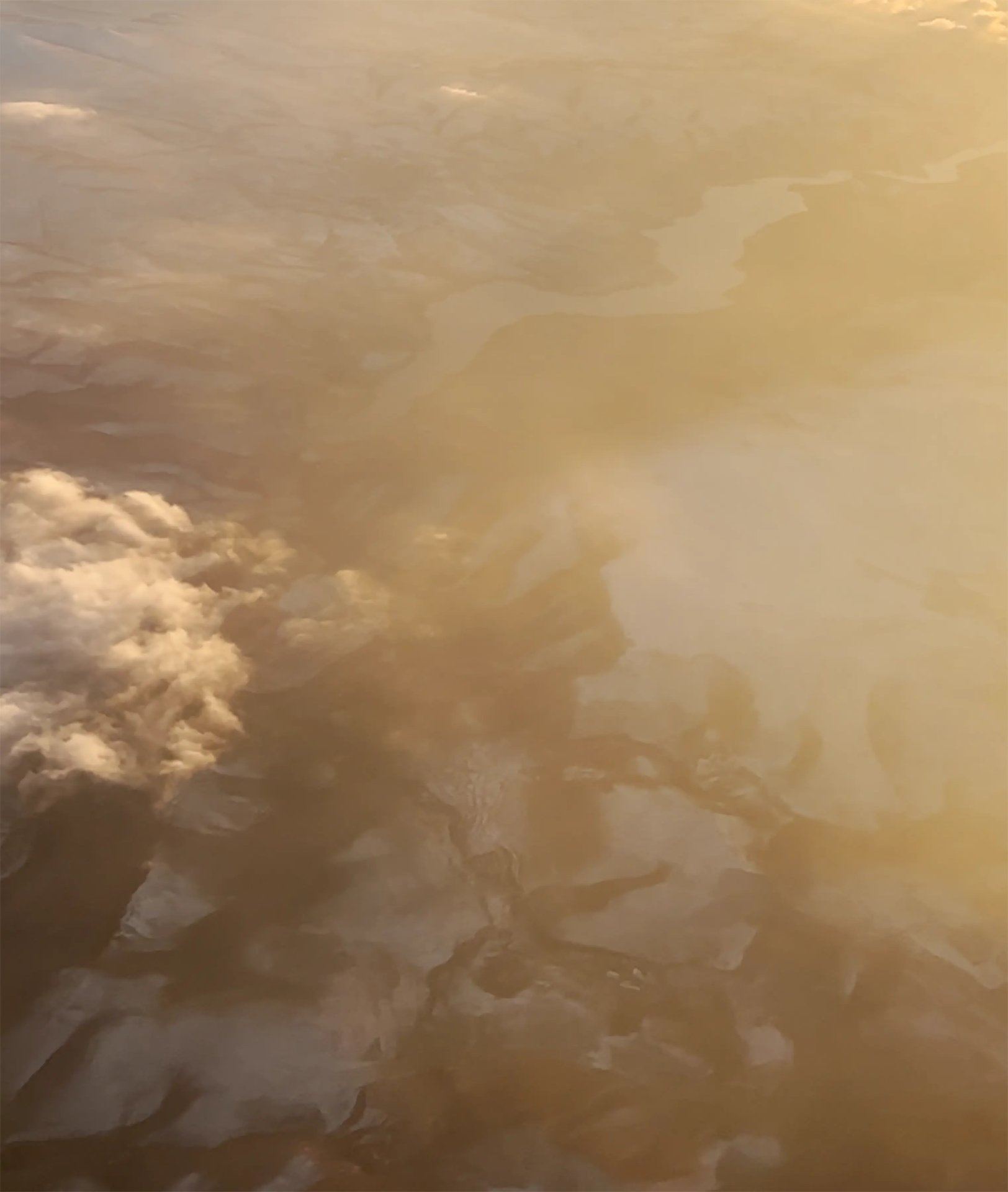 Grimanesa Amoros SCIENTIA