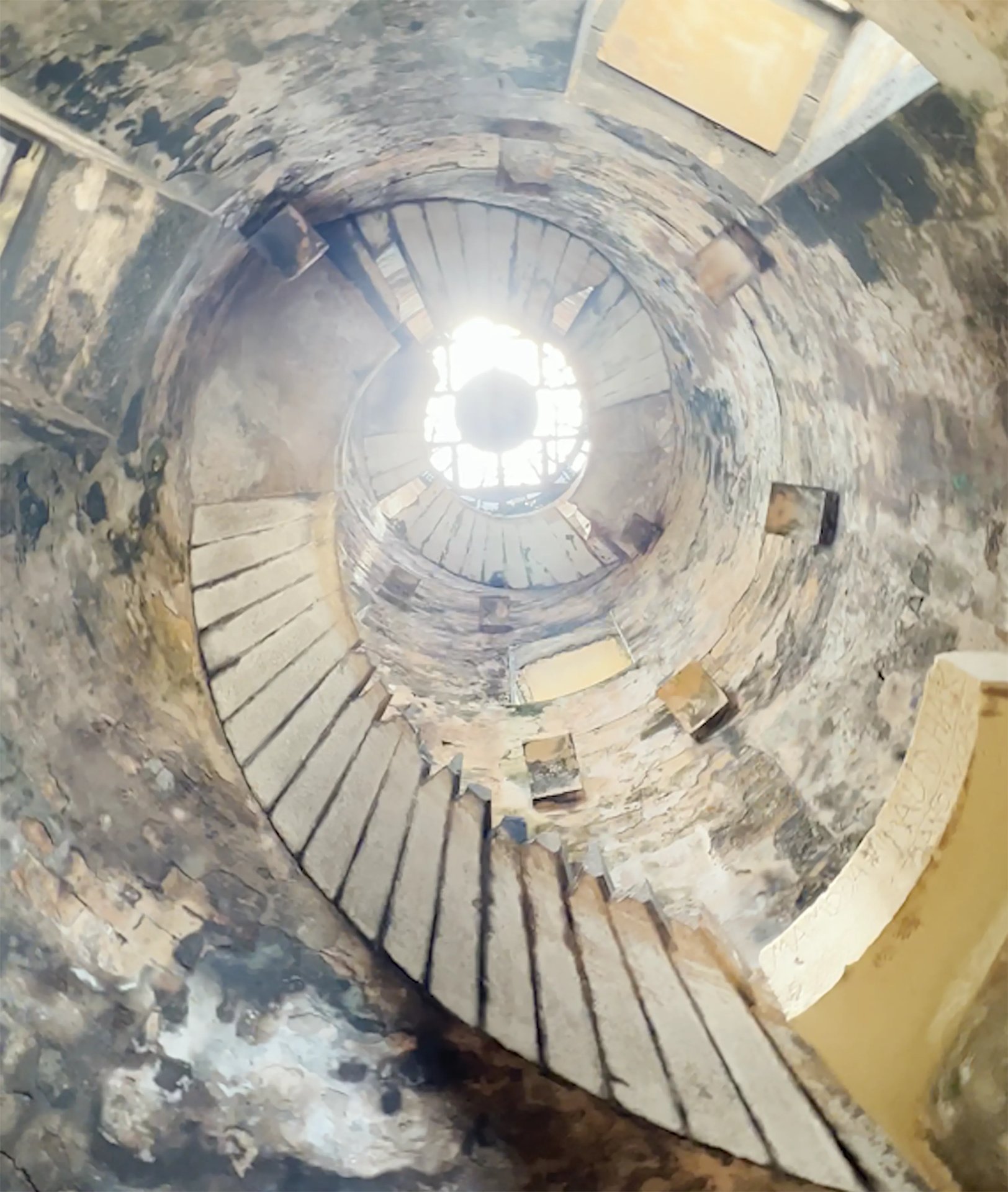 Grimanesa Amoros SCIENTIA