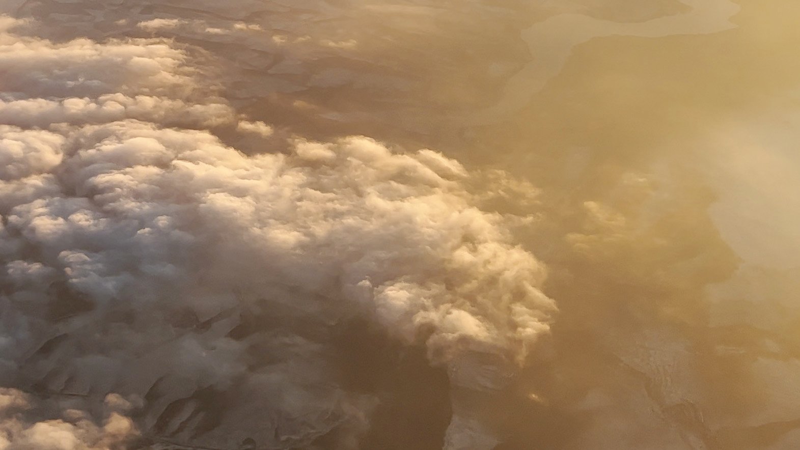 Grimanesa Amoros video thumbnail for SCIENTIA