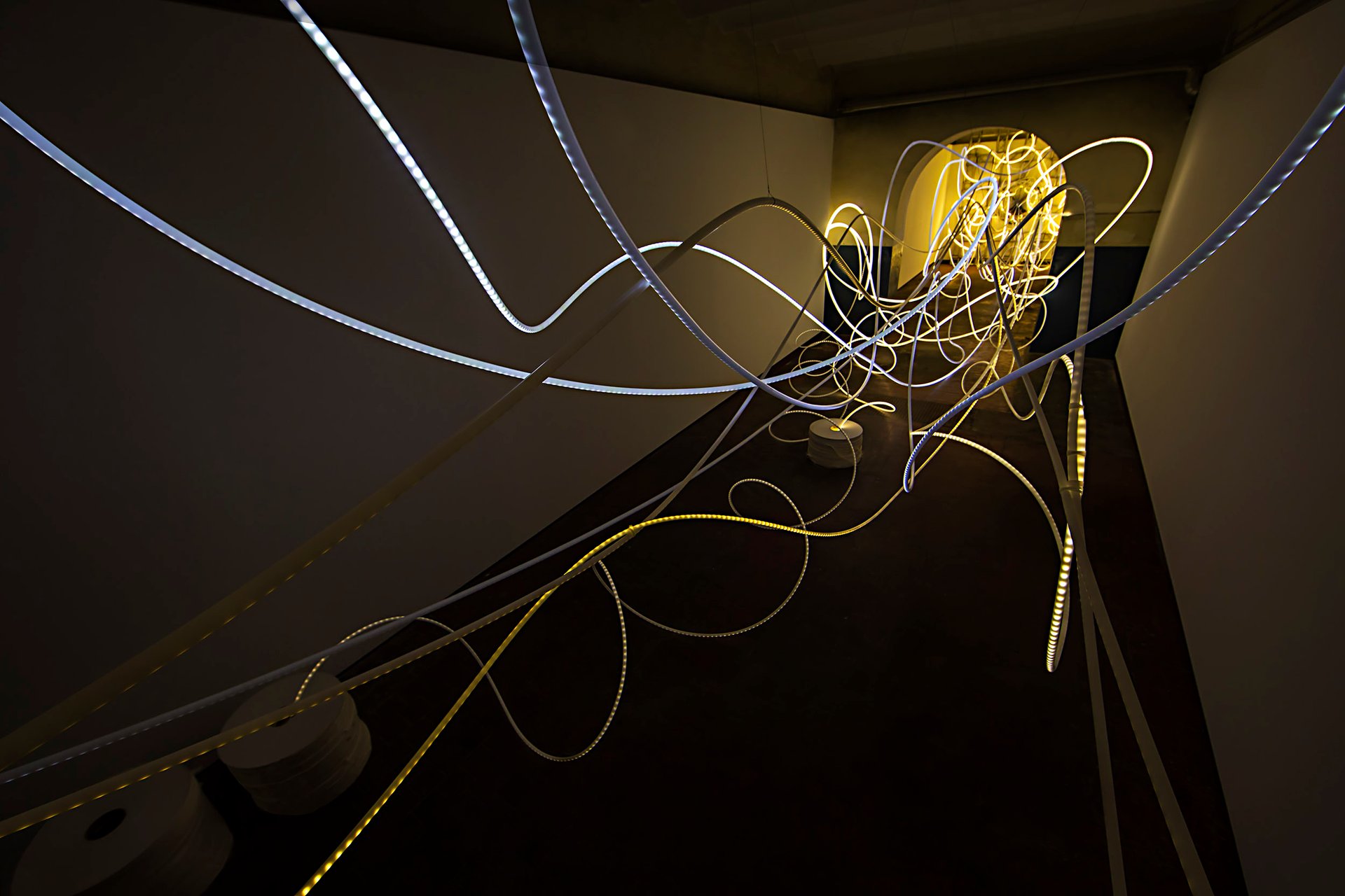 Grimanesa Amoros FORTUNA