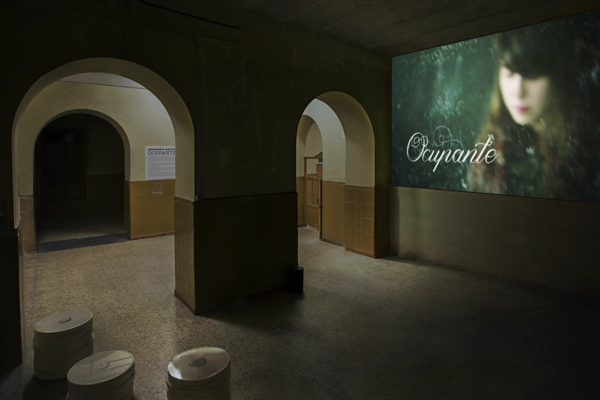 Grimanesa Amoros OCUPANTE