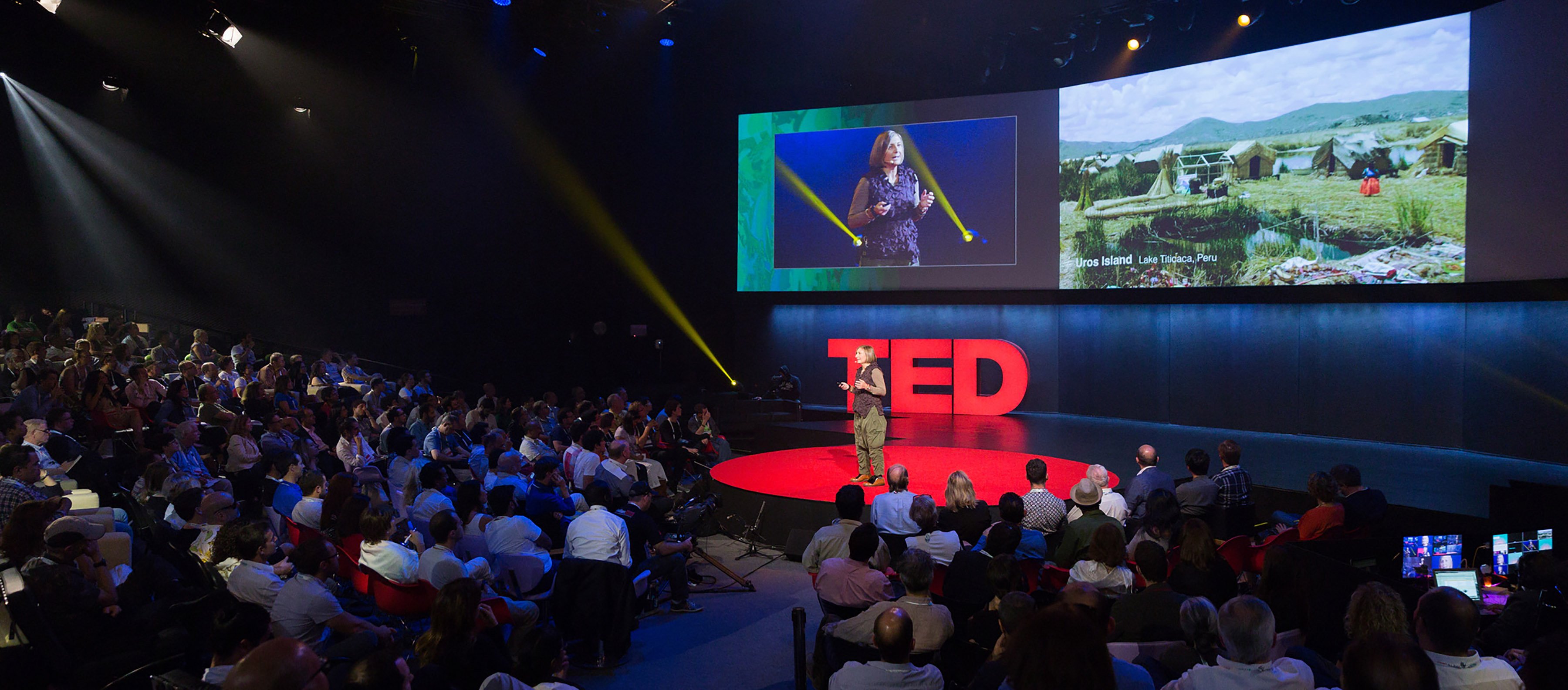 Grimanesa Amoros lecturing for TEDGlobal