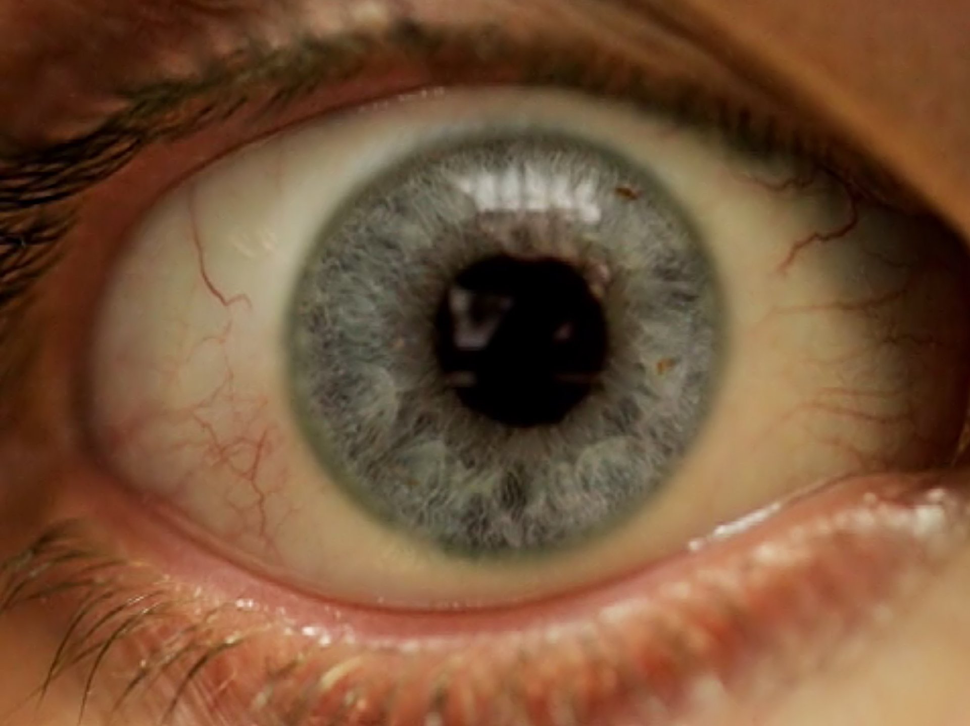 Grimanesa Amoros video thumbnail for PREOCCUPATION