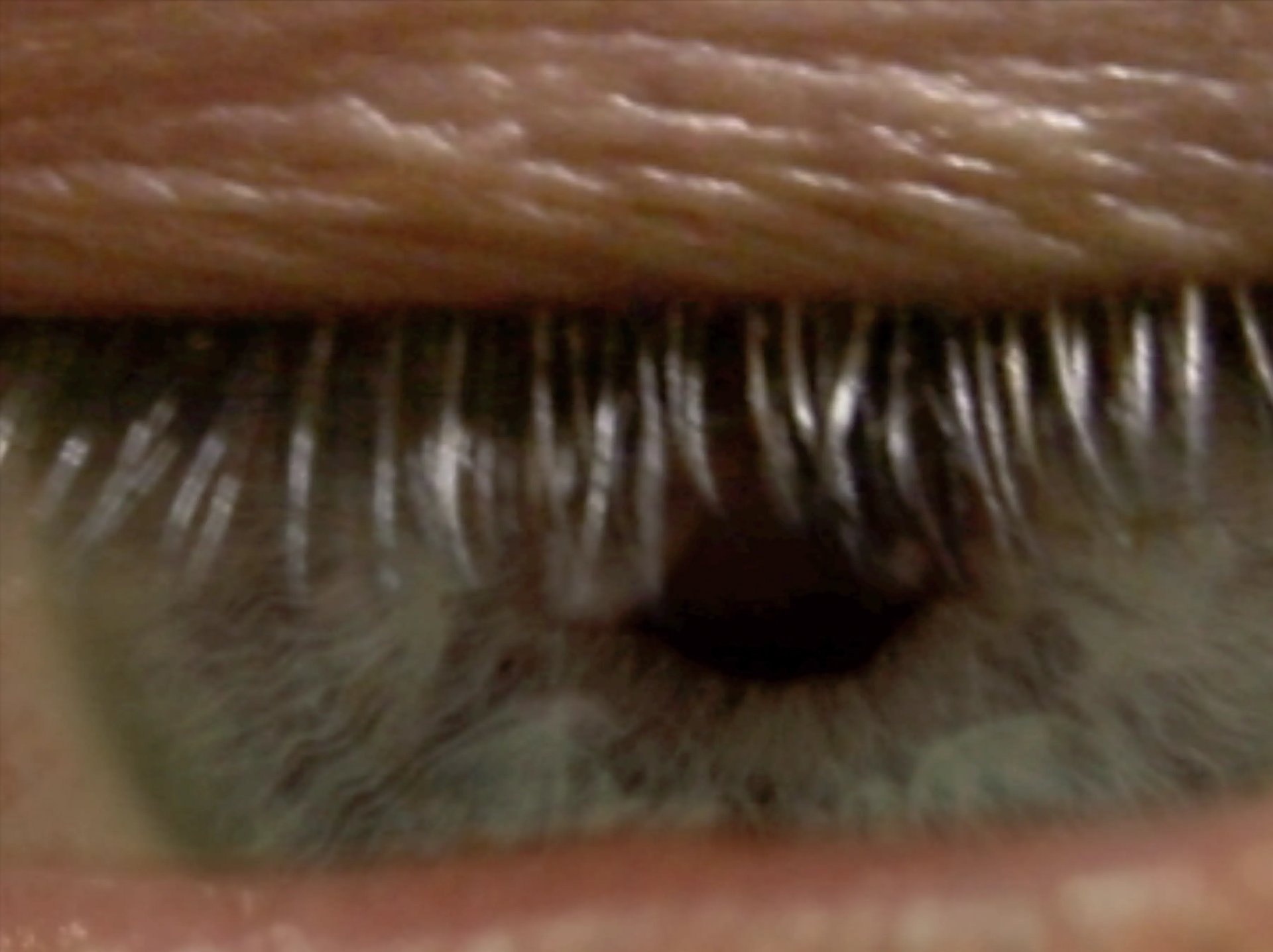 Grimanesa Amoros PREOCCUPATION