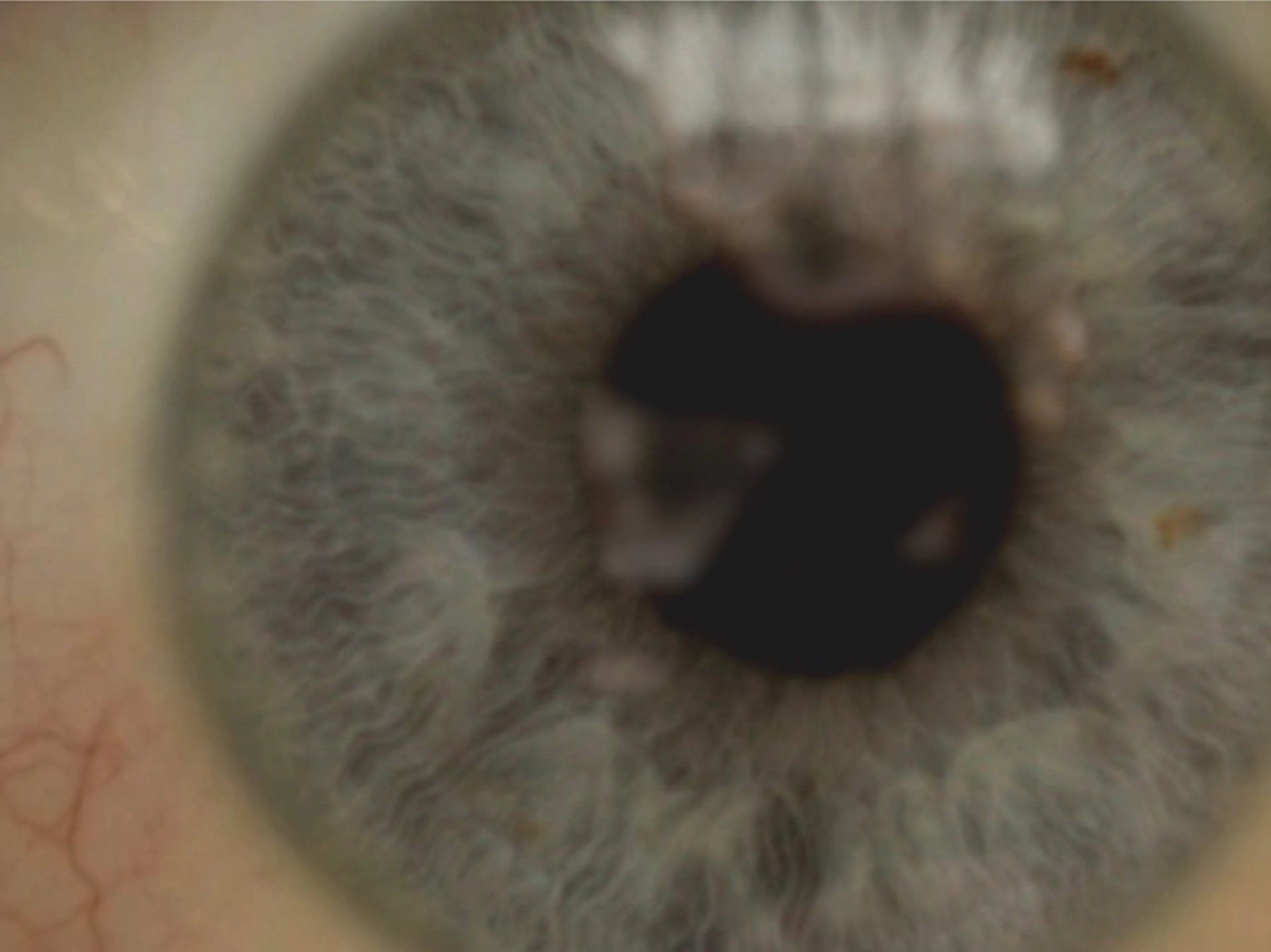 Grimanesa Amoros PREOCCUPATION