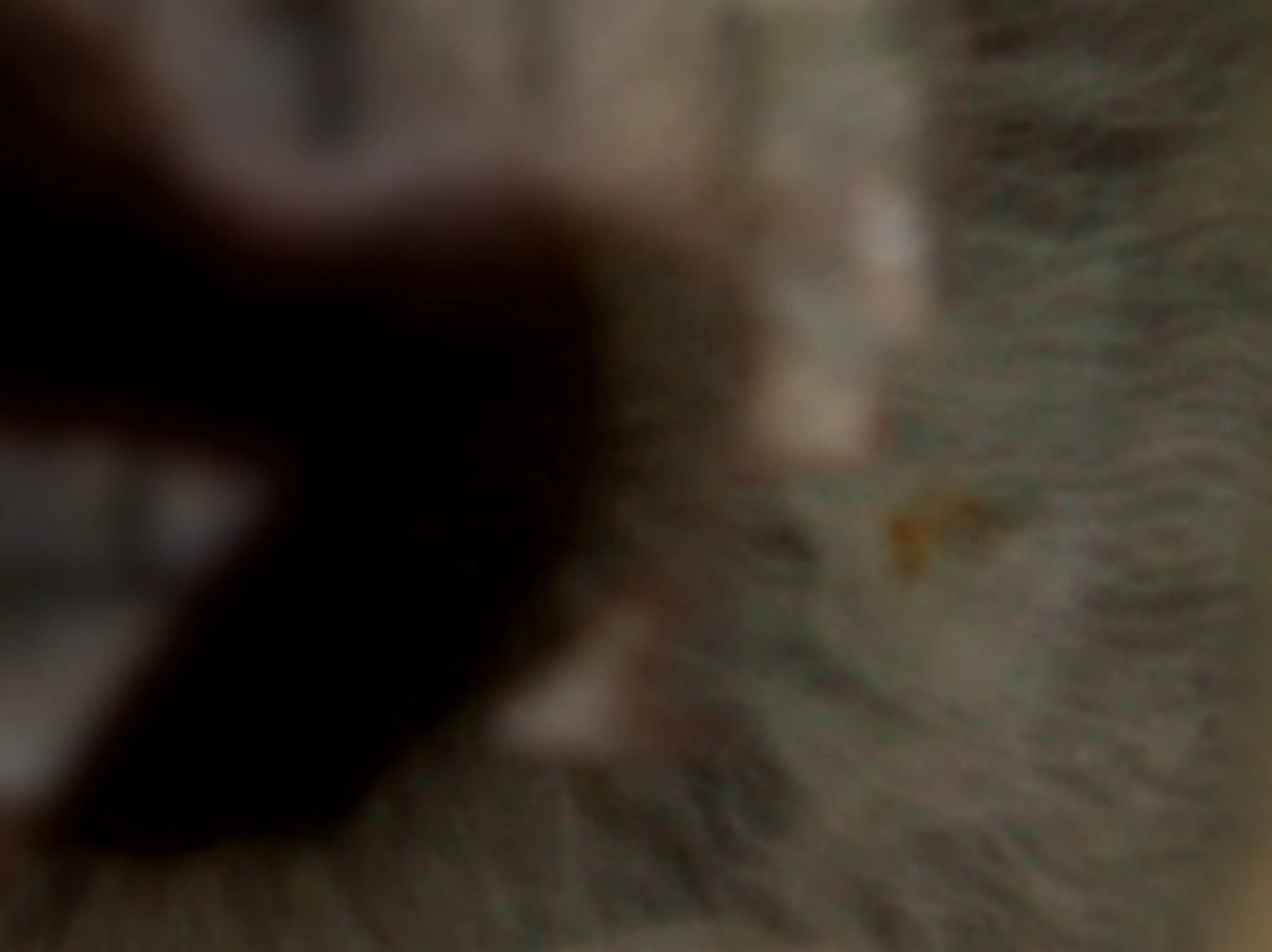 Grimanesa Amoros PREOCCUPATION