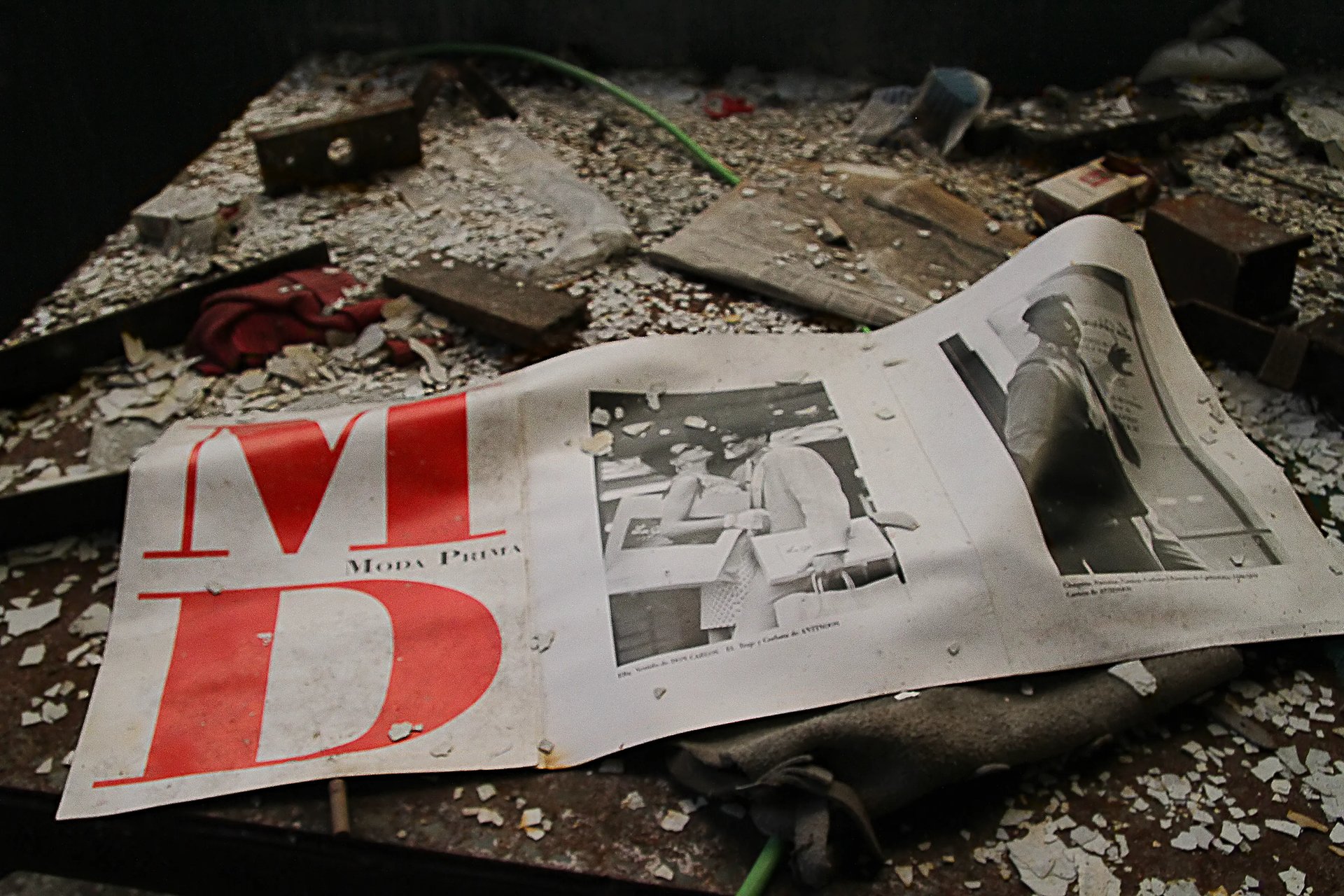 Grimanesa Amoros OCUPANTE