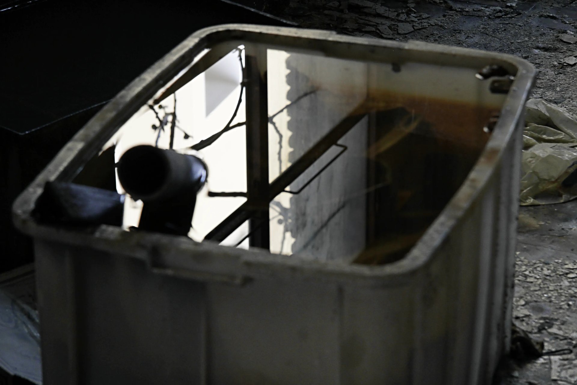 Grimanesa Amoros OCUPANTE