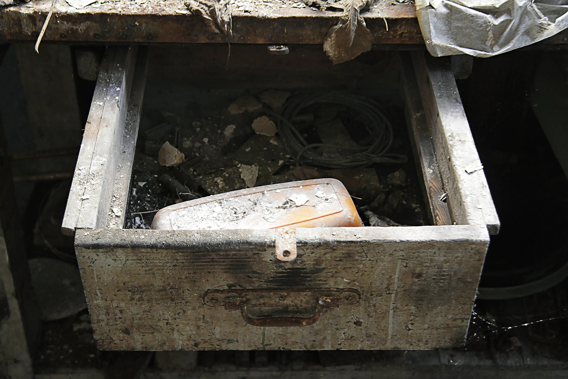 Grimanesa Amoros OCUPANTE