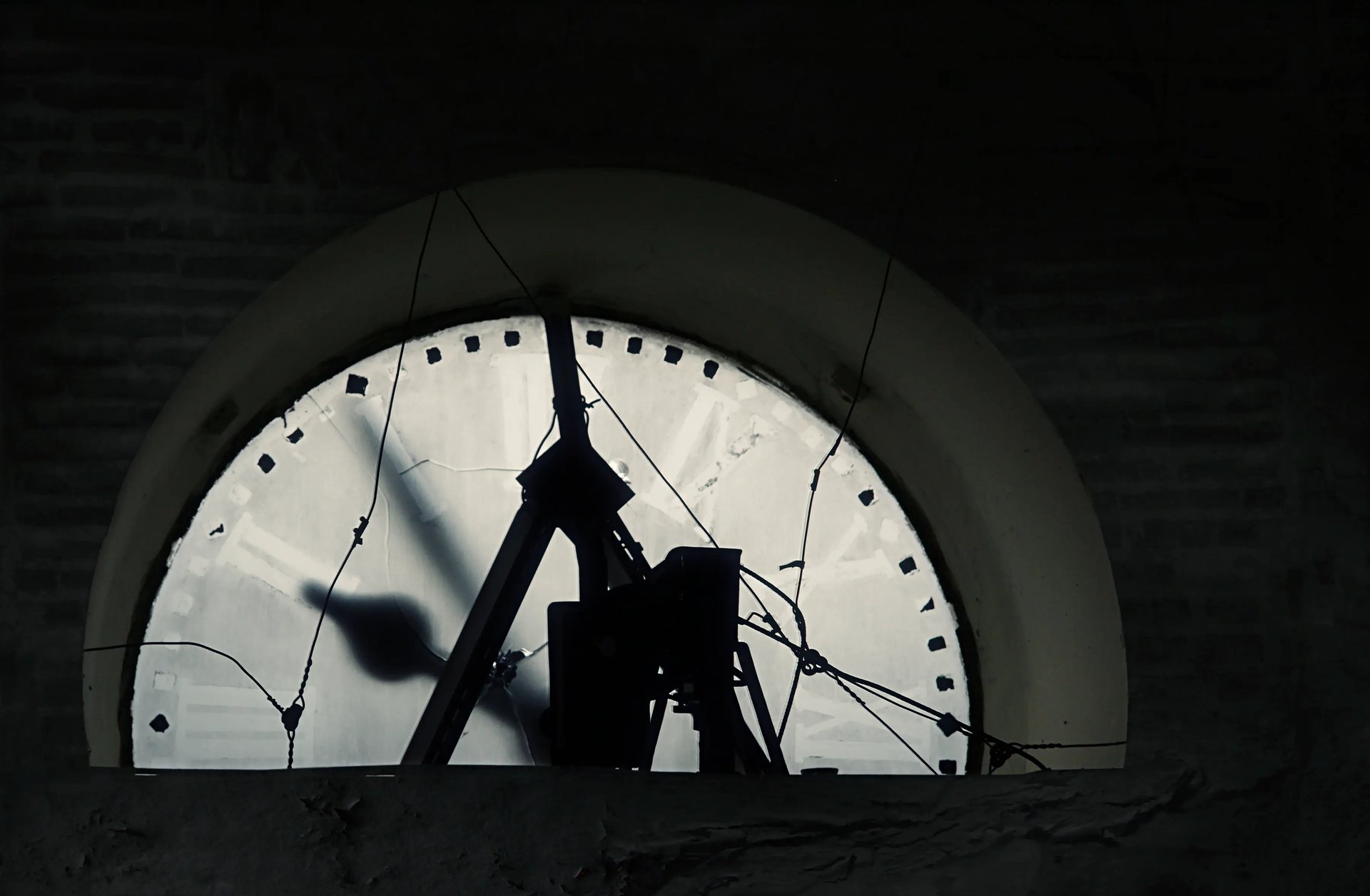 Grimanesa Amoros OCUPANTE