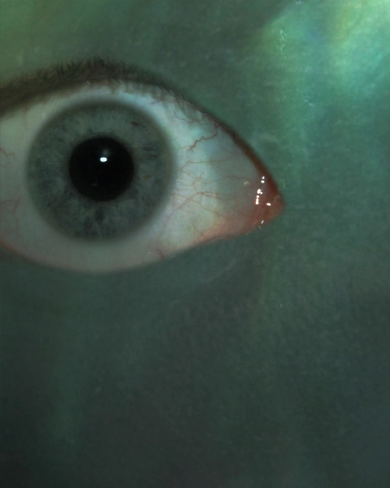 Grimanesa Amoros REMOLINO