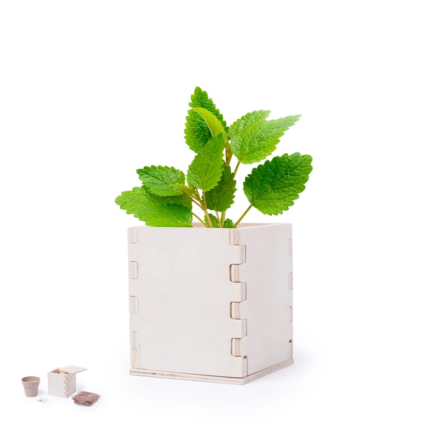 Bloempot met pepermunt zaden Merin