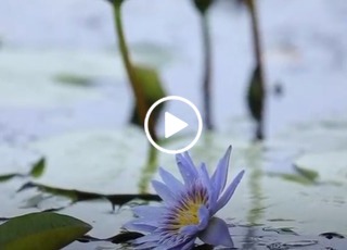 Akurdi neighborhood in Pune