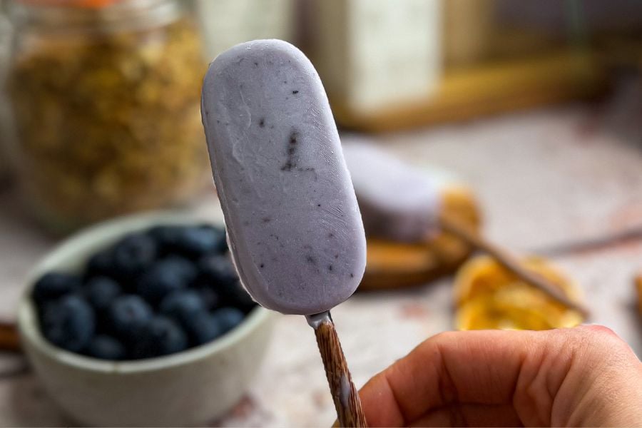 domowe lody z mleczka kokosowego i jagód
