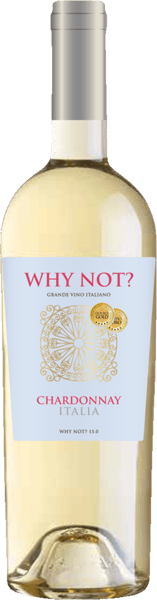Modelbillede af Why Not Chardonnay 0,75l