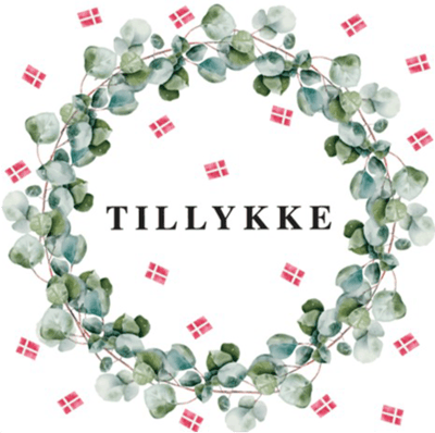 Modelbillede af Studenterservietter 20 stk. m. Flag & Eucalyptus
