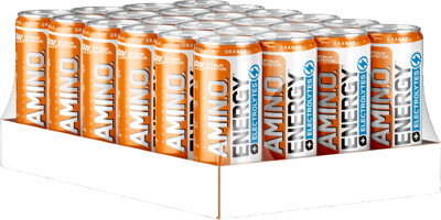 Modelbillede af ON Orange 24x250ml Energy +Elektrolytter