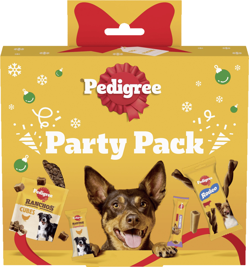Pedigree Party Box 241 g